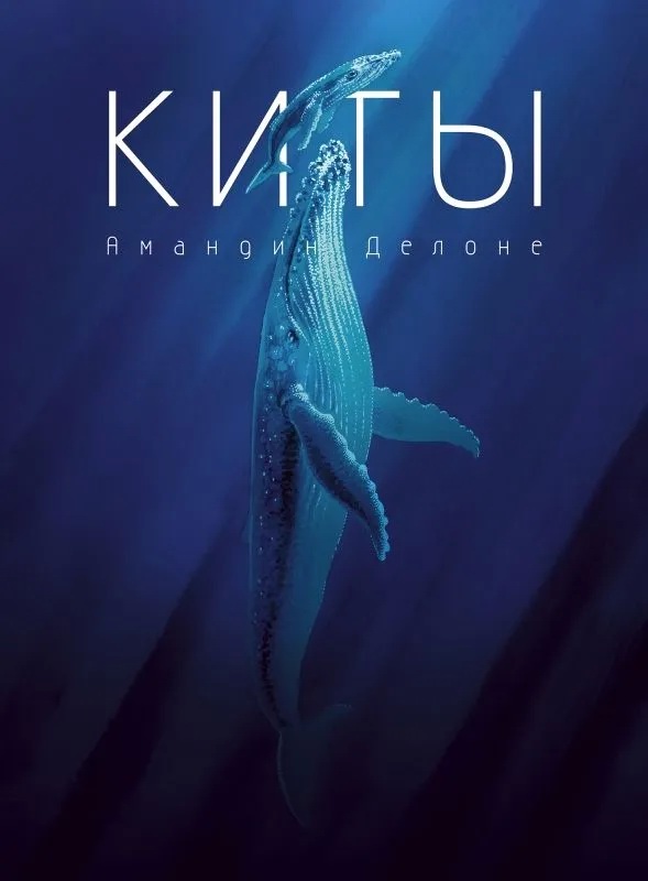Киты