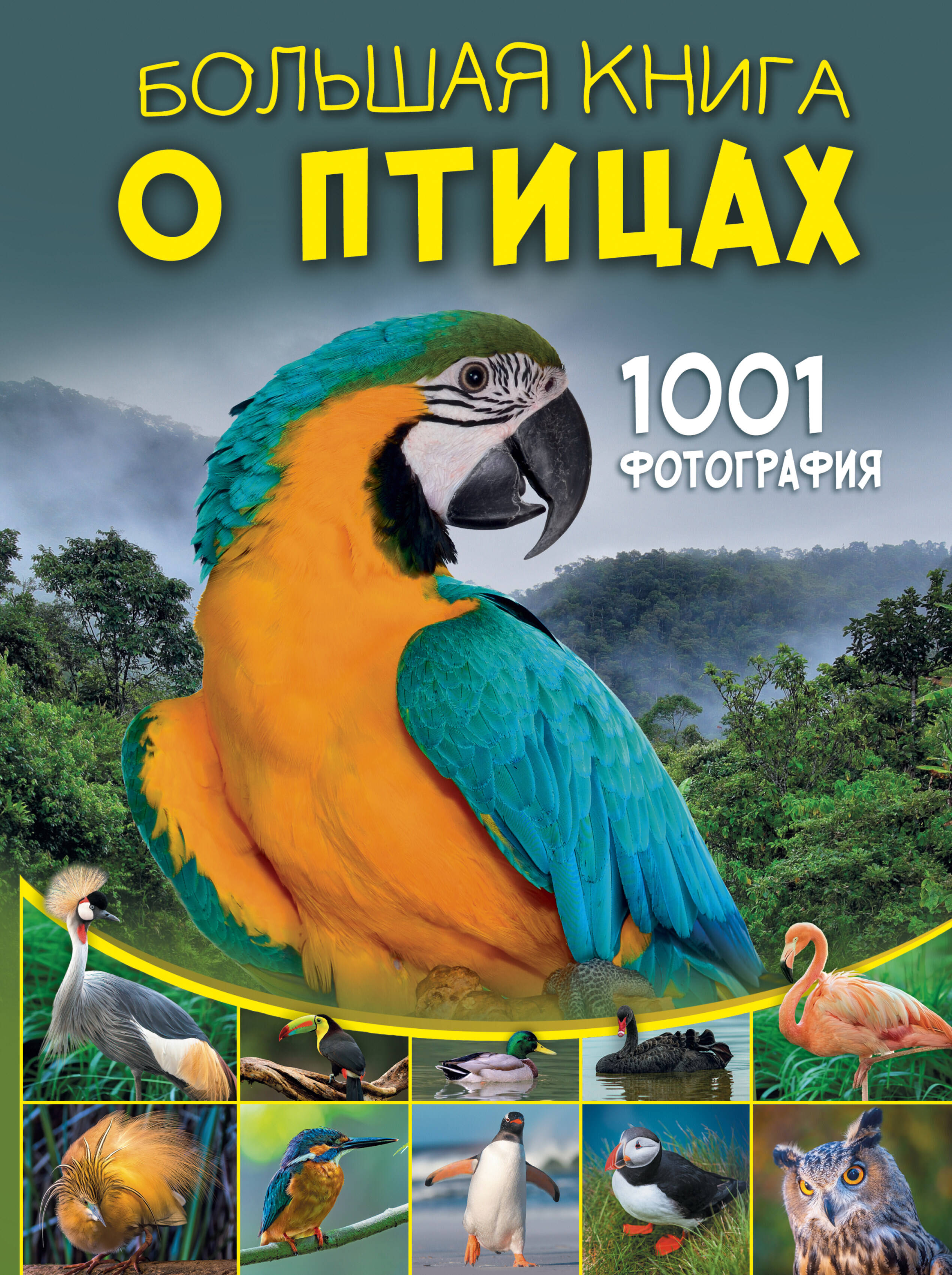 Большая книга о птицах. 1001 фотография