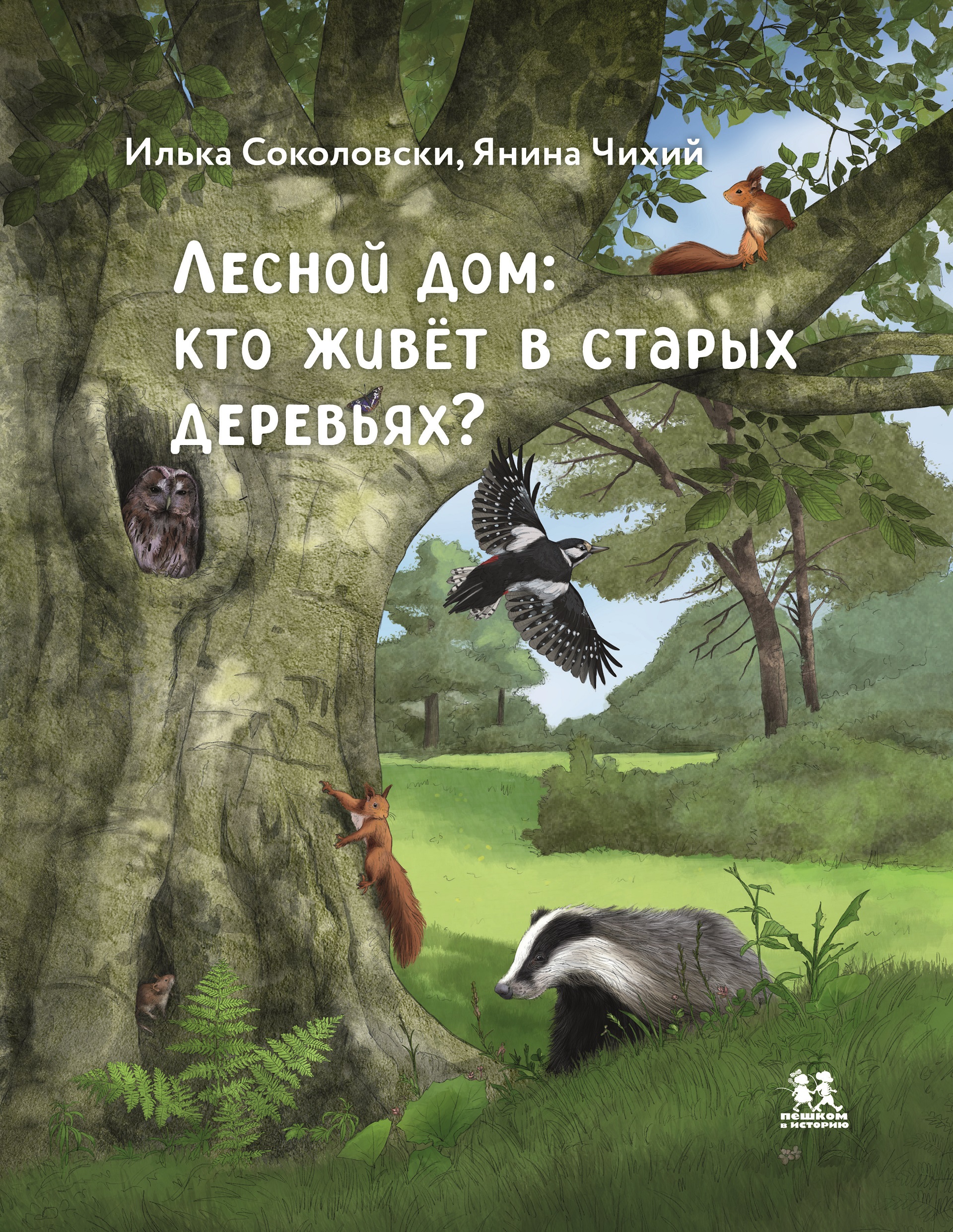 Лесной дом: кто живёт в старых деревьях?