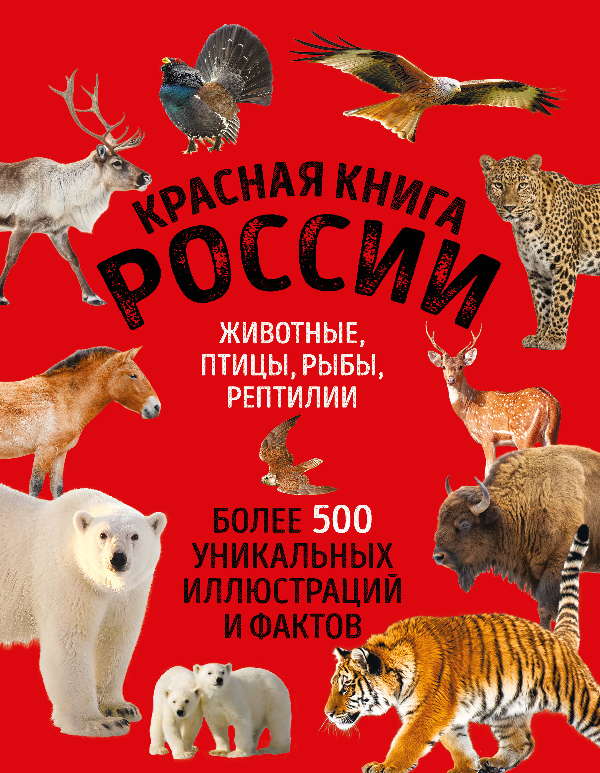 Красная книга России. Большой формат. Более 500 уникальных иллюстраций и фактов
