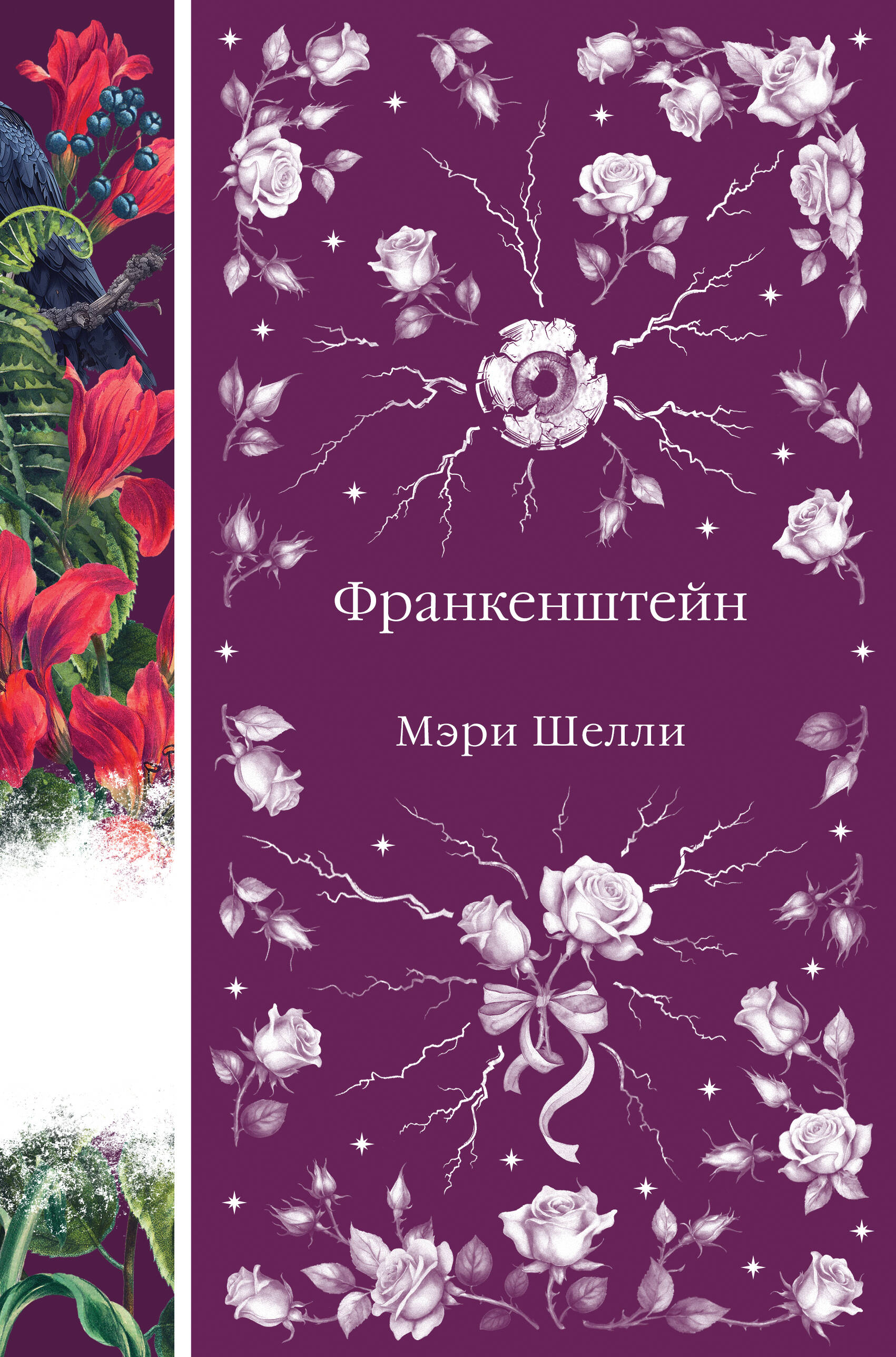 Франкенштейн, или Современный Прометей (книга #7)